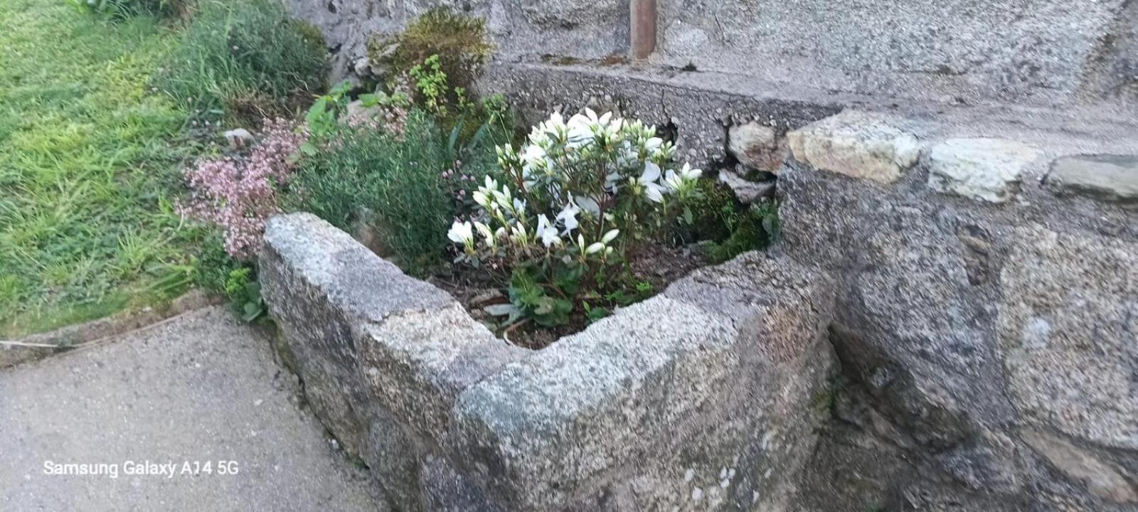 Casa Da Fonte Villa Pontevedra Ruang foto